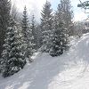 Onnion 2006 384